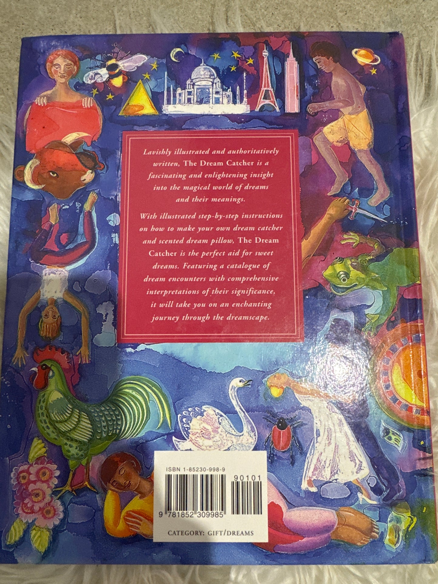 The Dream Catcher- Lori Reid