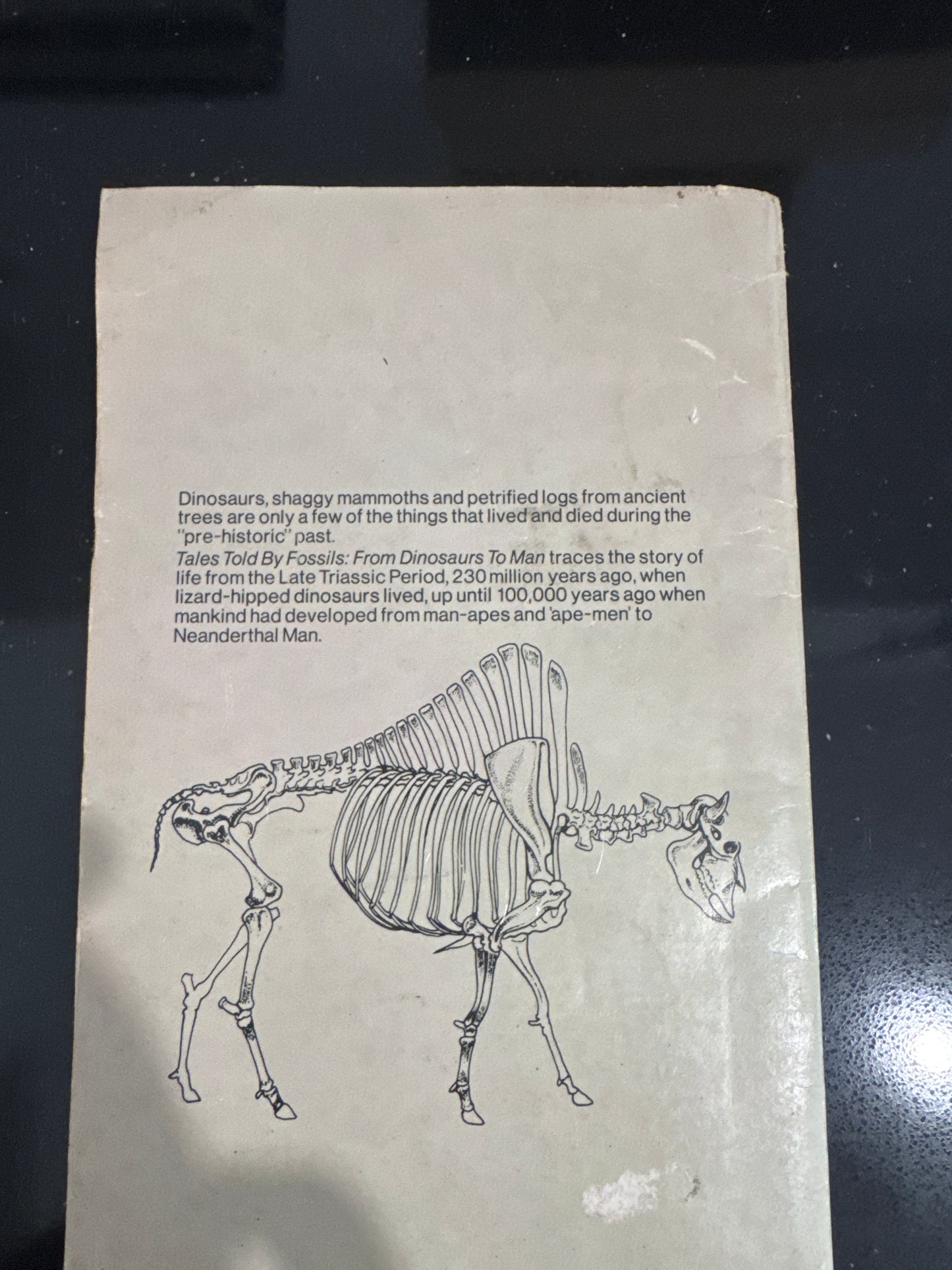 Tales Told by Fossils: From Dinosaurs to Man