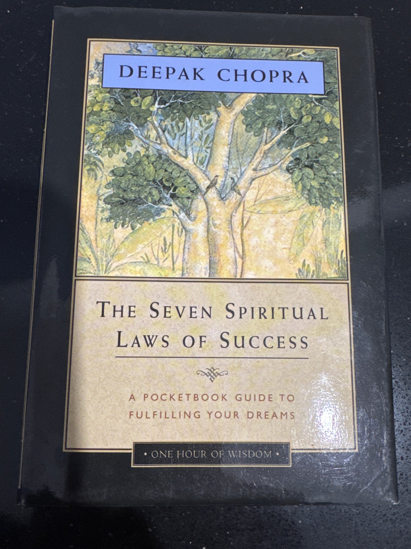 The Seven Spiritual Laws of Success